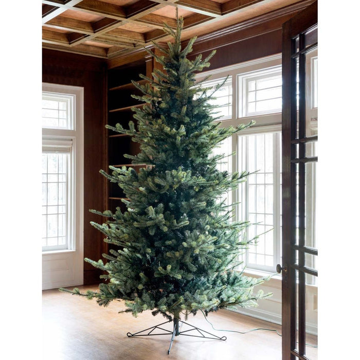 Park Hill Collection Tree Lot 10' Park Hill Blue Spruce LED Lights XPQ82162 Park Hill Collection