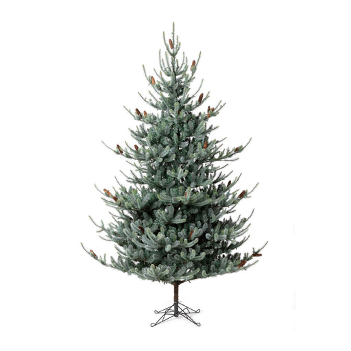Park Hill Blue Spruce Christmas Tree, 9' XPQ82165 - front view