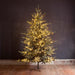 Park Hill Blue Spruce Christmas Tree, 9' XPQ82165 - detail close-up