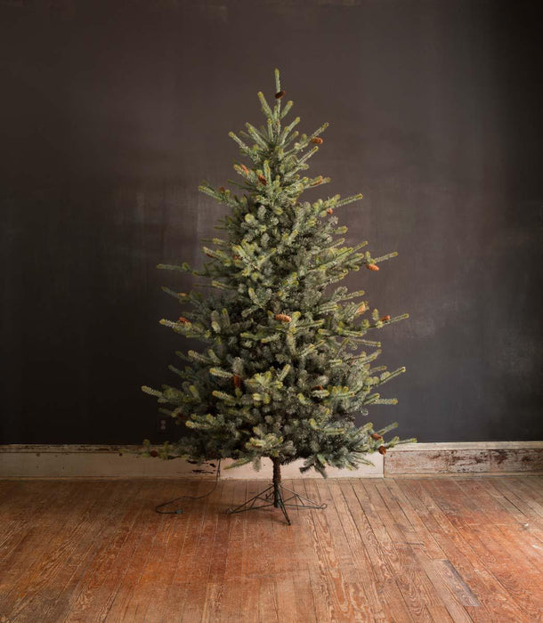 Park Hill Blue Spruce Christmas Tree, 9' XPQ82165 - back view