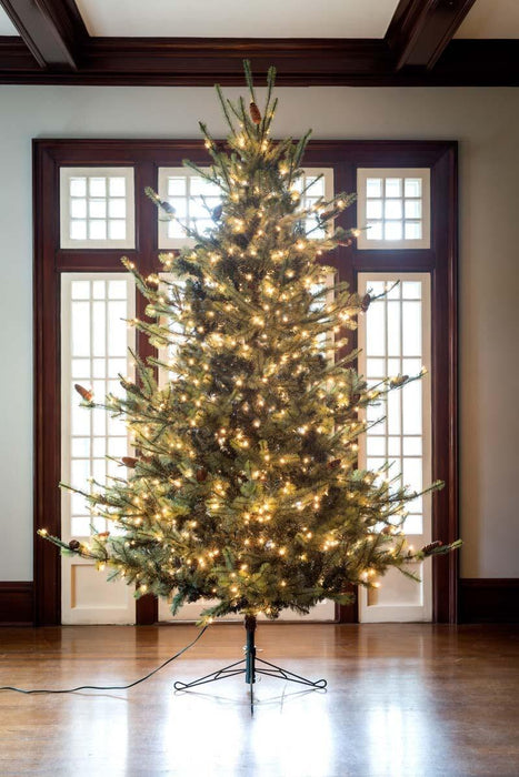Park Hill Blue Spruce Christmas Tree, 9' XPQ82165 - specifications diagram