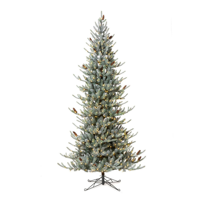 Park Hill Collection Tree Lot 9' Park Hill Slim Line Blue Spruce LED Lights XPQ82166 Park Hill Collection
