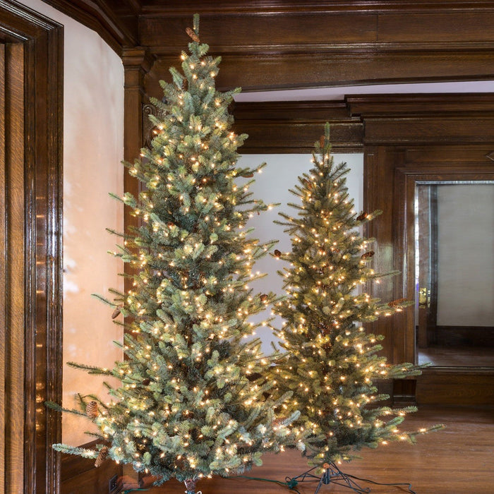 Park Hill Collection Tree Lot 9' Park Hill Slim Line Blue Spruce LED Lights XPQ82166 Park Hill Collection