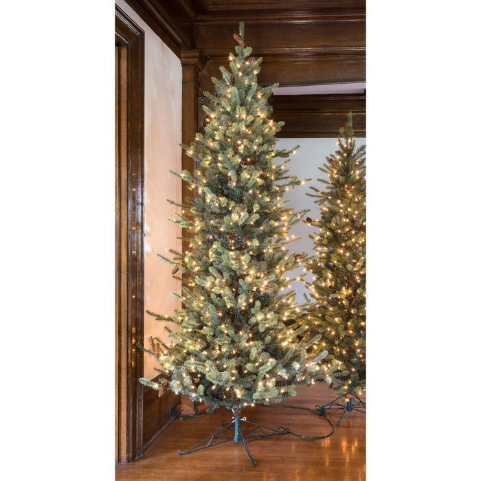 Park Hill Collection Tree Lot 9' Park Hill Slim Line Blue Spruce LED Lights XPQ82166 Park Hill Collection