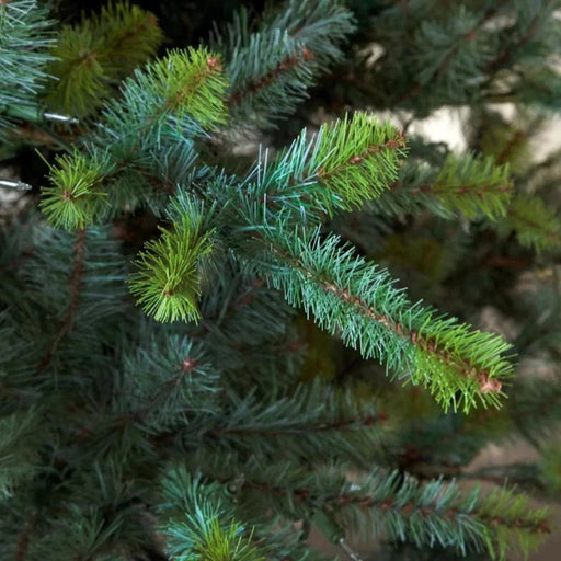 Park Hill Collection Tree Lot 12' Park Hill Blue Spruce Christmas Pine Tree LED Lights XPQ82167 Park Hill Collection