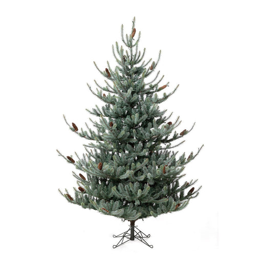 Park Hill Collection Tree Lot 7.5' Park Hill Blue Spruce LED Lights XPQ82168 Park Hill Collection