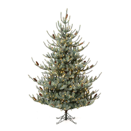 Park Hill Collection Tree Lot 7.5' Park Hill Blue Spruce LED Lights XPQ82168 Park Hill Collection