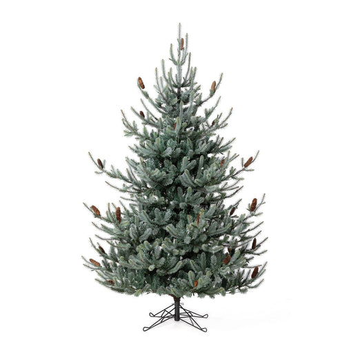 Park Hill Collection Tree Lot 7.5' Park Hill Blue Spruce LED Clear/Multi-Color Option XPQ82169 Park Hill Collection