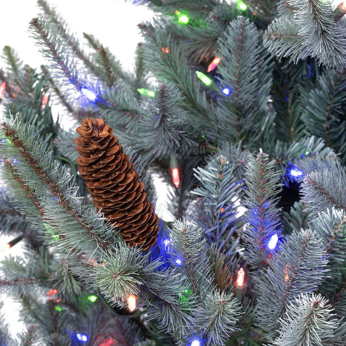 Park Hill Collection Tree Lot 7.5' Park Hill Blue Spruce LED Clear/Multi-Color Option XPQ82169 Park Hill Collection