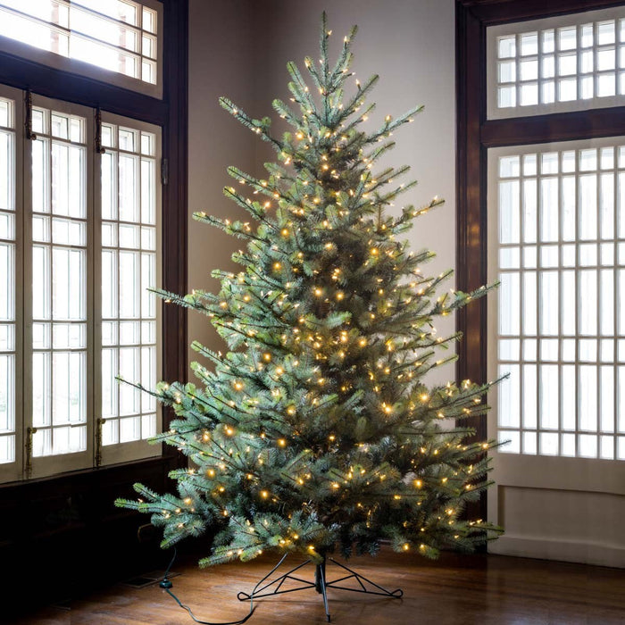 Park Hill Collection Tree Lot 7.5' Park Hill Blue Spruce LED Clear/Multi-Color Option XPQ82169 Park Hill Collection