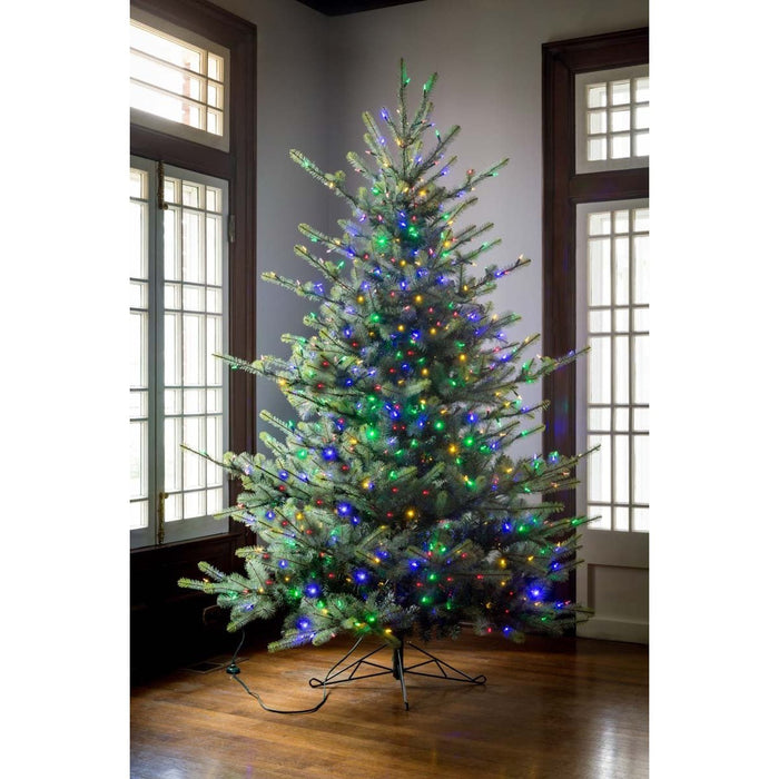 Park Hill Collection Tree Lot 7.5' Park Hill Blue Spruce LED Clear/Multi-Color Option XPQ82169 Park Hill Collection