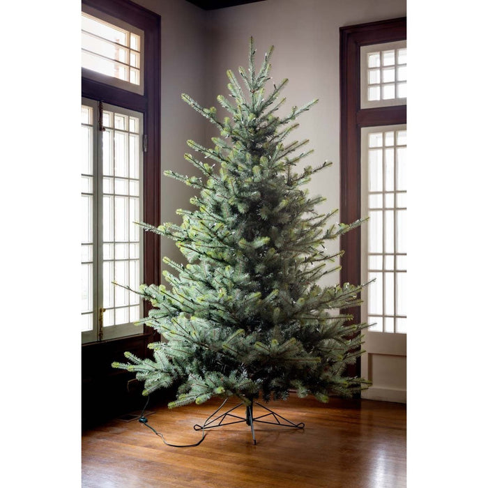 Park Hill Collection Tree Lot 7.5' Park Hill Blue Spruce LED Clear/Multi-Color Option XPQ82169 Park Hill Collection