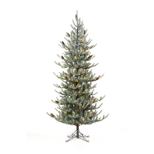 Park Hill Collection Tree Lot 7.5' Park Hill Slim Line Blue Spruce LED Lights XPQ82170 Park Hill Collection