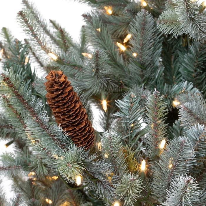 Park Hill Collection Tree Lot 7.5' Park Hill Slim Line Blue Spruce LED Lights XPQ82170 Park Hill Collection