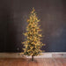 Park Hill Collection Tree Lot 7.5' Park Hill Slim Line Blue Spruce LED Lights XPQ82170 Park Hill Collection