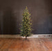 Park Hill Collection Tree Lot 7.5' Park Hill Slim Line Blue Spruce LED Lights XPQ82170 Park Hill Collection