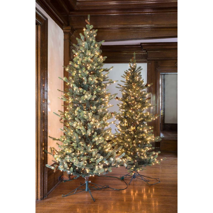 Park Hill Collection Tree Lot 7.5' Park Hill Slim Line Blue Spruce LED Lights XPQ82170 Park Hill Collection