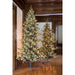 Park Hill Collection Tree Lot 7.5' Park Hill Slim Line Blue Spruce LED Lights XPQ82170 Park Hill Collection
