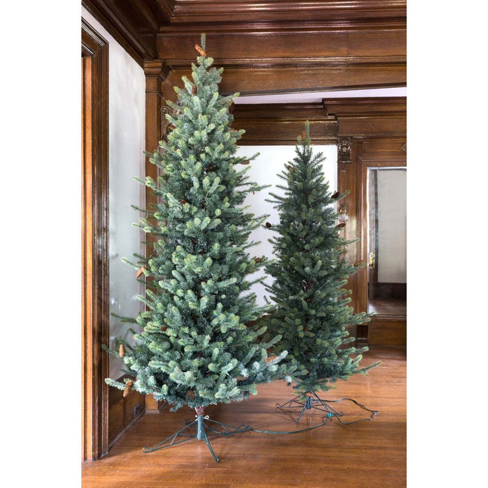 Park Hill Collection Tree Lot 7.5' Park Hill Slim Line Blue Spruce LED Lights XPQ82170 Park Hill Collection