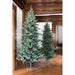 Park Hill Collection Tree Lot 7.5' Park Hill Slim Line Blue Spruce LED Lights XPQ82170 Park Hill Collection