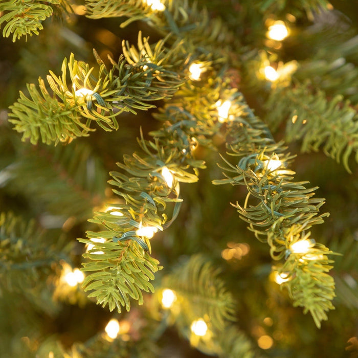 Park Hill Collection Tree Lot 5' Great Northern Spruce Pine Tree with Micro LED Lights XPQ90662 Park Hill Collection
