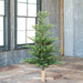 Park Hill Collection Tree Lot 5' Great Northern Spruce Pine Tree with Micro LED Lights XPQ90662 Park Hill Collection