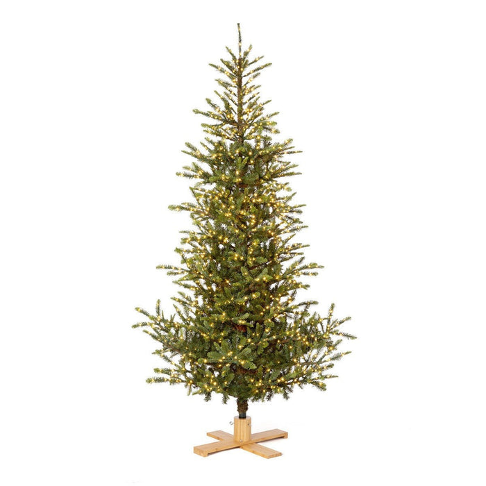 Park Hill Collection Tree Lot 9' Great Northern Spruce Tree with Micro LED Lights XPQ90664 Park Hill Collection