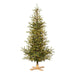 Park Hill Collection Tree Lot 9' Great Northern Spruce Tree with Micro LED Lights XPQ90664 Park Hill Collection
