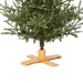 Park Hill Collection Tree Lot 9' Great Northern Spruce Tree with Micro LED Lights XPQ90664 Park Hill Collection