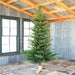 Park Hill Collection Tree Lot 9' Great Northern Spruce Tree with Micro LED Lights XPQ90664 Park Hill Collection