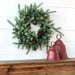 Park Hill Collection Tree Lot Blue Spruce Wreath with LED Lights, Large XPW81010 Park Hill Collection