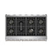 Thor Kitchen X Series 48-Inch Gas Range (XRG48E) – product photo 1