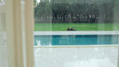 Yarbo Smart Robotic Lawn Mower – Autonomous GPS Navigation, App-Controlled Grass Cutting for Large Lawns - View 13