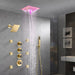 Cascada Maui 16" LED Music Dual Shower Head System