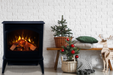 Electric Fireplace E50-HO - specifications diagram