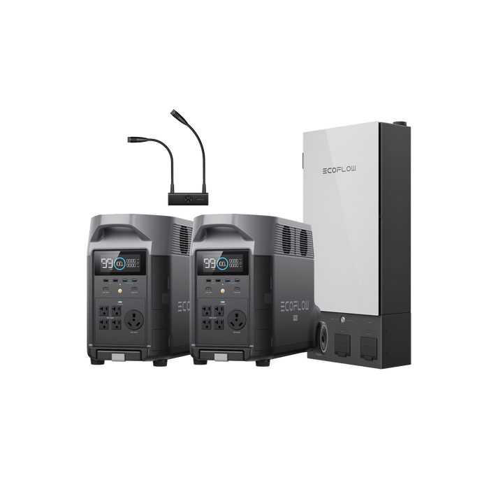 DELTA Pro 2-Pack + Double Voltage Hub - angled view