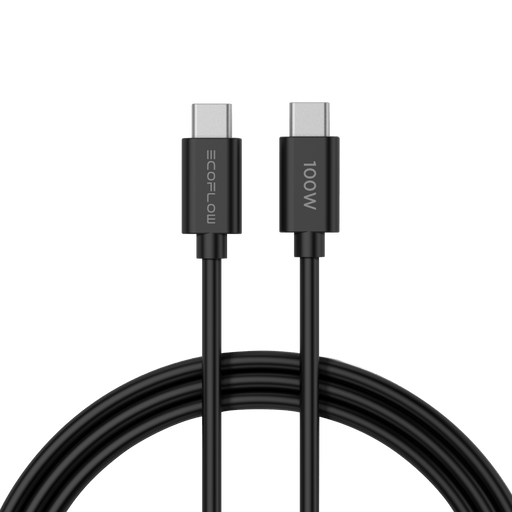 RAPID 65W GaN Charger with 100W Cable - angled view
