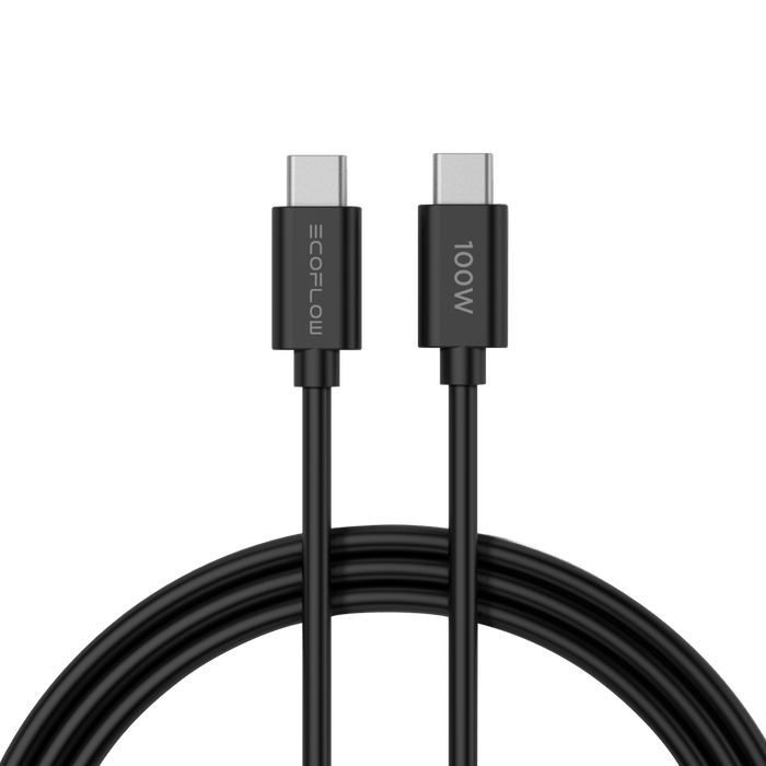 RAPID 65W GaN Charger with 100W Cable - angled view