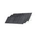 EcoFlow DELTA Pro + 2 × 220W Portable Solar Panel - image 20