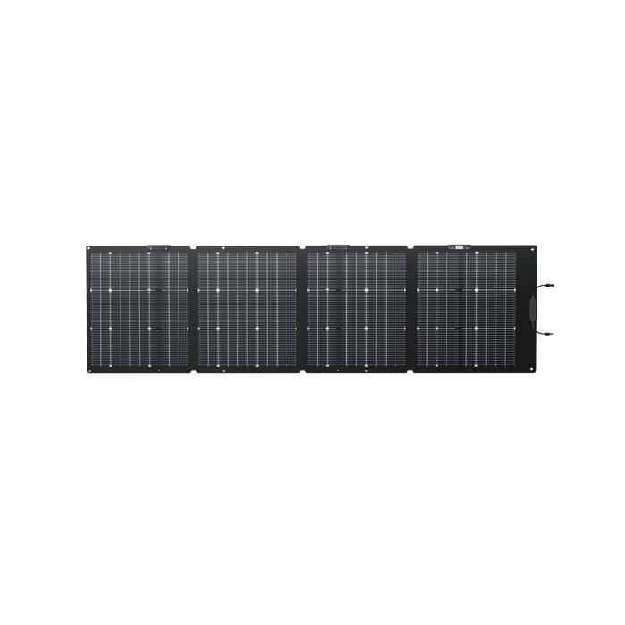 EcoFlow DELTA Pro + 2 × 220W Portable Solar Panel - image 18