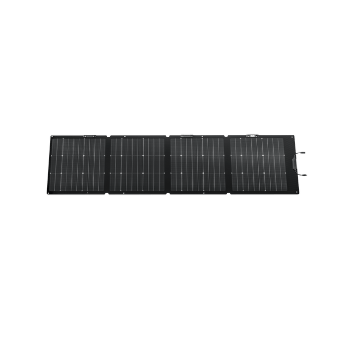 EcoFlow DELTA Pro + 2 × 220W Portable Solar Panel - image 19