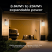 EcoFlow DELTA Pro + 2 × 220W Portable Solar Panel - image 9