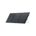 EcoFlow DELTA 2 Max + 1 × 160W Portable Solar Panel - image 38