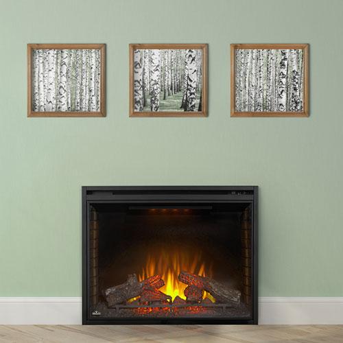 Napoleon Ascent 33" Built-in Electric Firebox | NEFB33H Gas Fireplace - View 9
