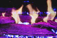 Modern Flames Orion Traditional 30" Heliovision Virtual Built-In Electric Firebox Modern Flames