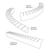 Form Fitting Fire Pit Ledge Starfire Designs