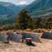 Jackery HomePower 2000 Plus v2 Solar Generator – SolarSaga 200W solar panel, second view