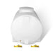 Pressure Washer 245gal Water Tank with 2 Belts & 2 Tensioners (for SKU: 204004, 204008, 204012)