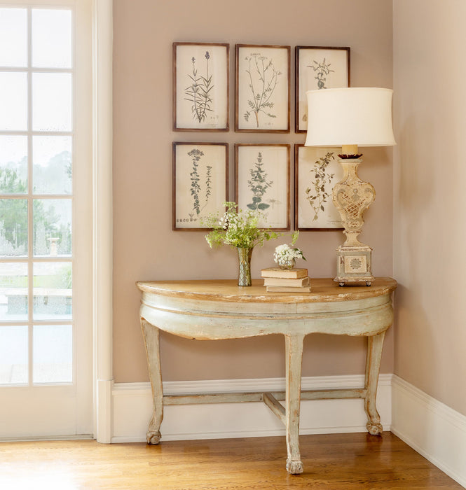 Park Hill Collection Collected Vintage Botanical Framed Prints Set of 6 – Elegant Shadowbox... Home Decor - Detail View