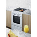 Summit 20" Wide Electric Smooth-Top Range (REX2051WRT)